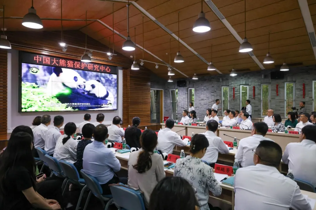 李家超抵达四川：争取让大熊猫国庆前到港