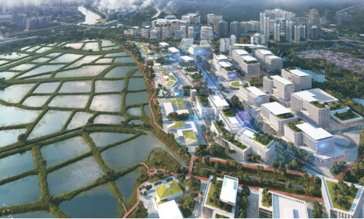 中央宣講團成員實地調研香港北部都會區