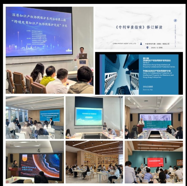 六場專題沙龍收官 深港知識產權協同保護賦能大灣區創新融合