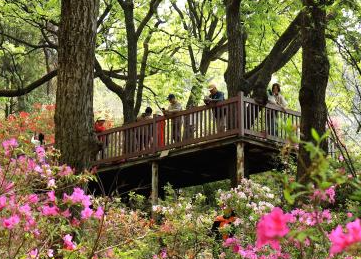 亲近自然，拥抱春天