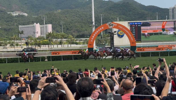 香港沙田馬場一片沸騰　遊客錯峰出行感受賽馬魅力
