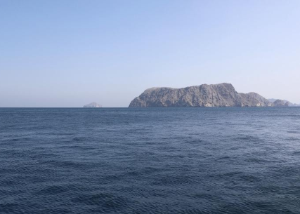 伊朗稱要對霍爾木茲海峽船隻收“航行服務費”