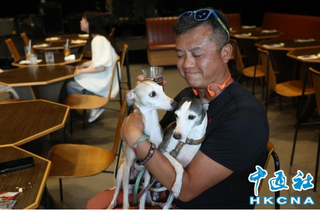 香港容許狗隻進入獲准食肆增至980間 首月運作順暢