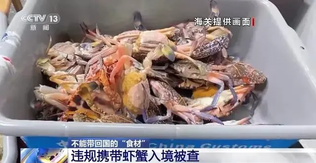 微信图片_20240919164601.png