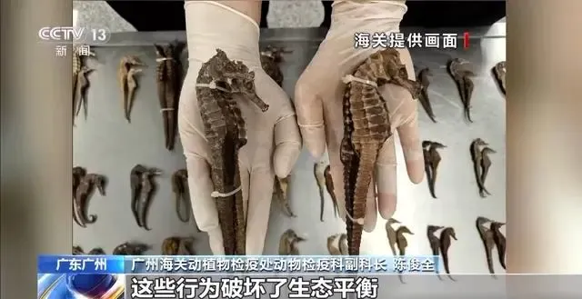 微信图片_20240919164642.png