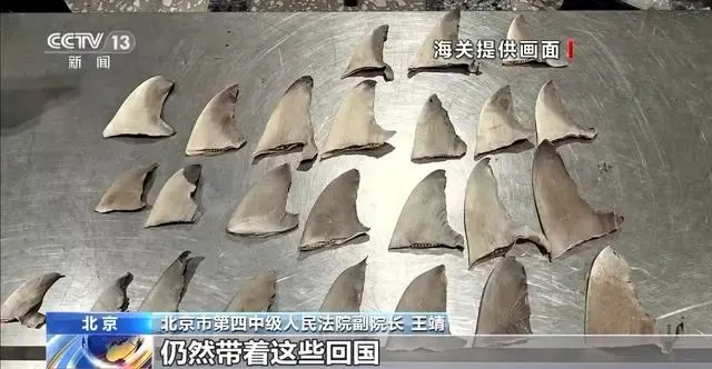 微信图片_20240919164408.png