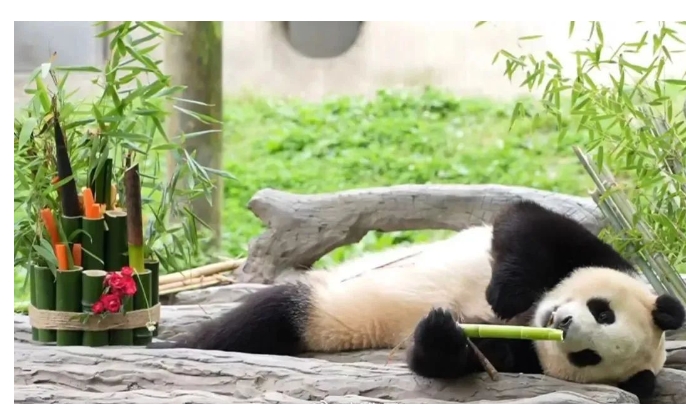 微信截图_20250227215504.png