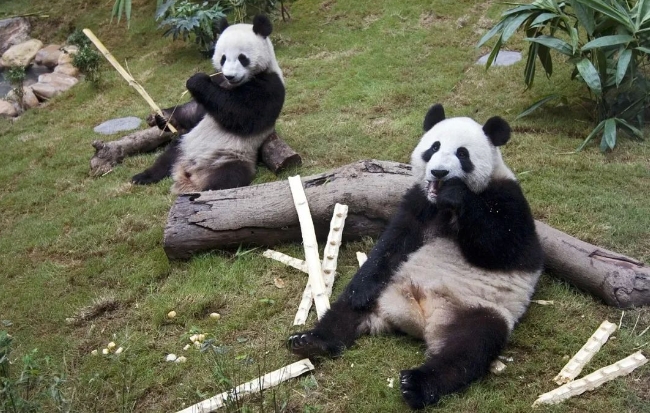 微信截图_20250228090116.png