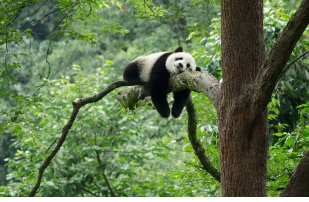 微信截图_20250228110306.png