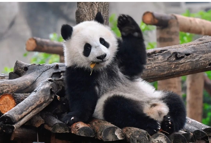 微信截图_20250228110314.png
