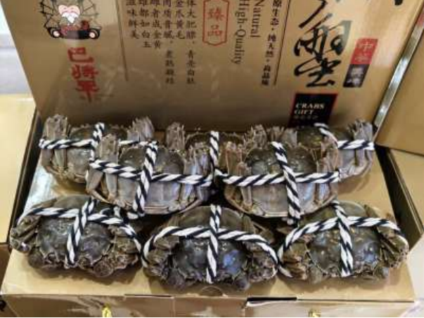 hk_c_1759062530890059611.png hk_c_image.png